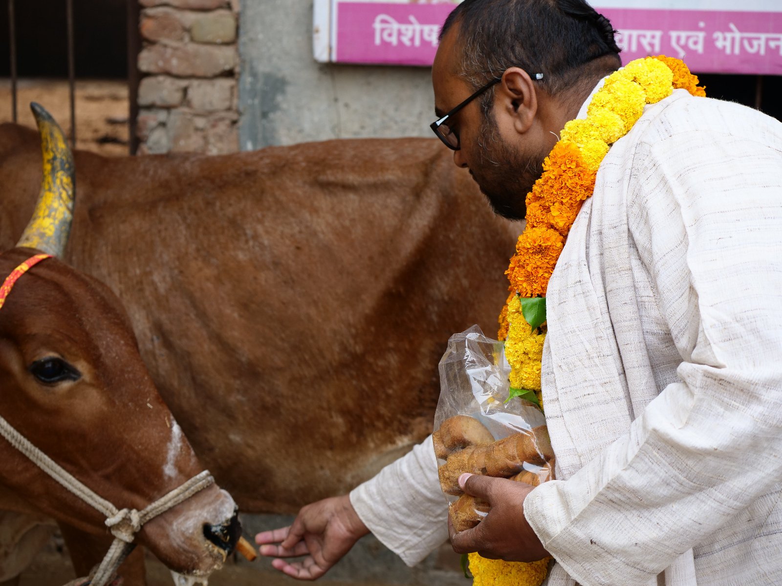  64 Gopashtami Radha kunda Govardhan 19.11.04